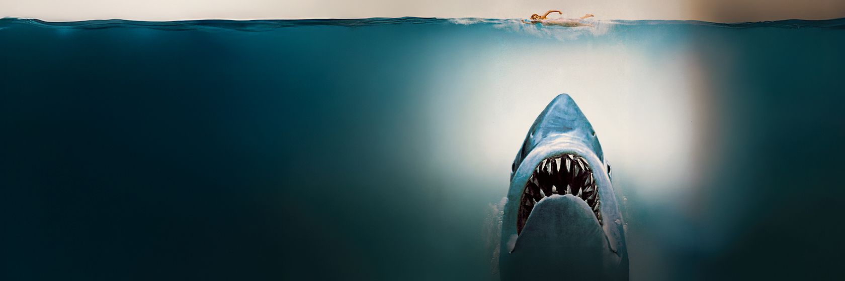 Jaws: 50th Anniversary